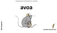 A avoa